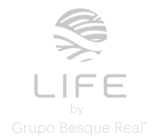 LOGO LIFE LOTES RESIDENCIALES