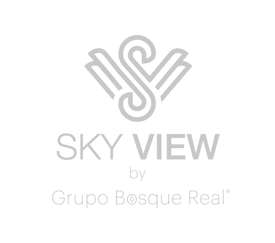 Logo Sky View
