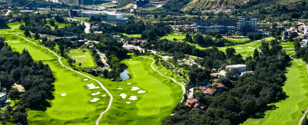 Calidad de Vida e Innovación en Bosque Real