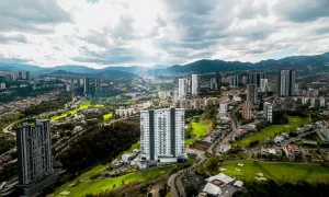 El sueño de una vida plena Bosque Real