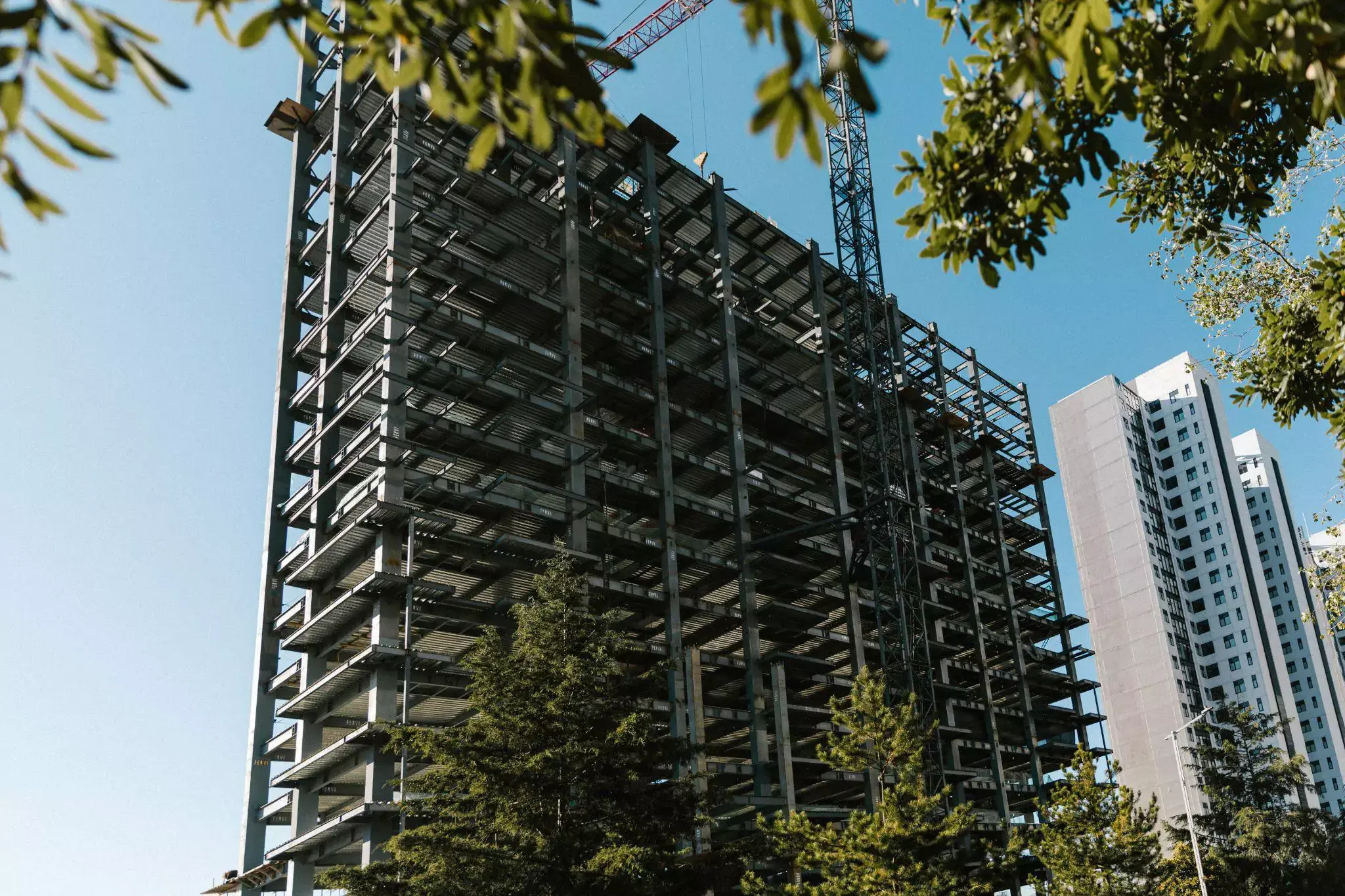 Inversión internacional Bosque Real