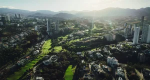 Paraíso verde dentro de Bosque Real