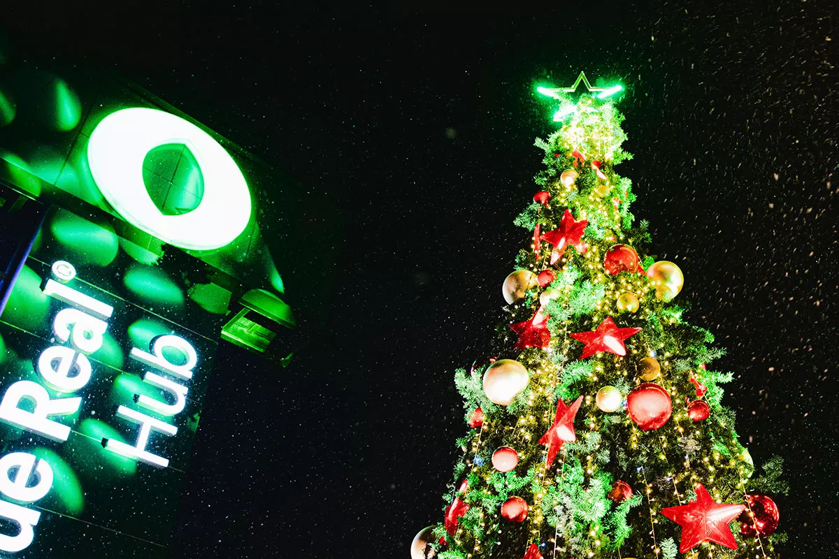 navidad-bosque-real-hub-6a429c7725a14